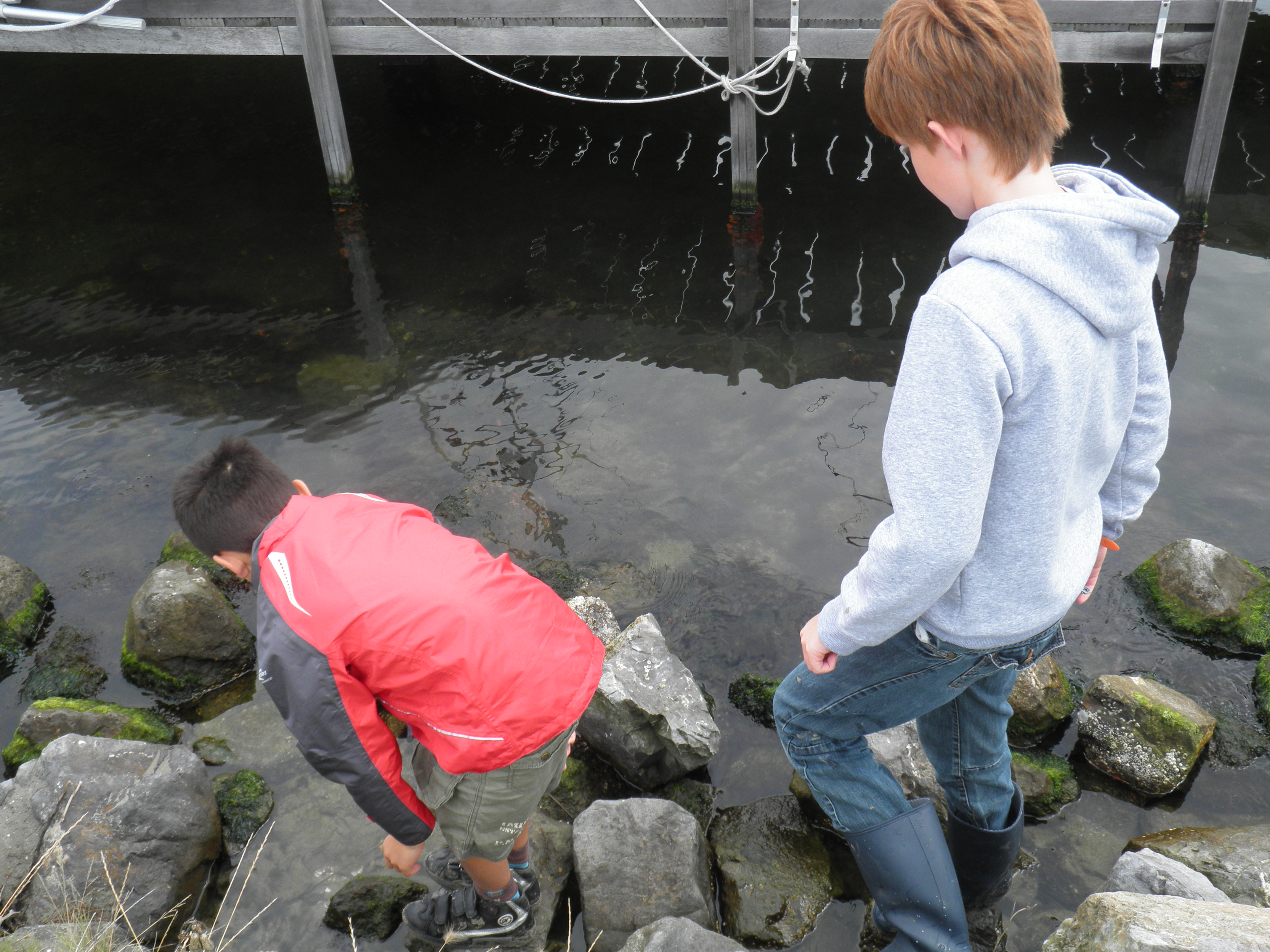 12 8 2011 10 37 53 0089